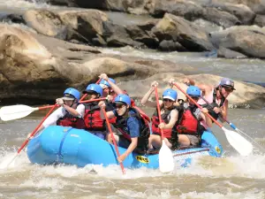 French Broad Rafting Expeditions