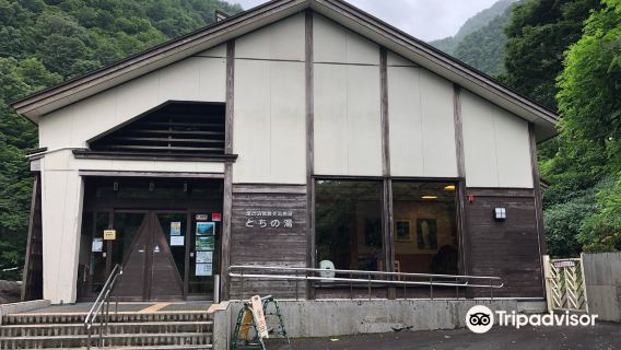 Tochi Hot Spring (Tochinoyu)