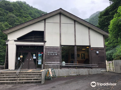 Tochi Hot Spring (Tochinoyu)