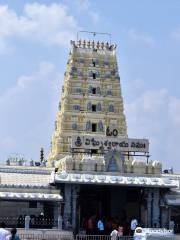 Sri Swayambhu Varasidhi Vinayaka Swamy Devastanam, Kanipakam