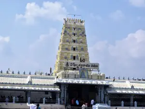 Sri Swayambhu Varasidhi Vinayaka Swamy Devastanam, Kanipakam