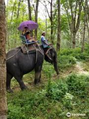 Amazing Bukit Safari