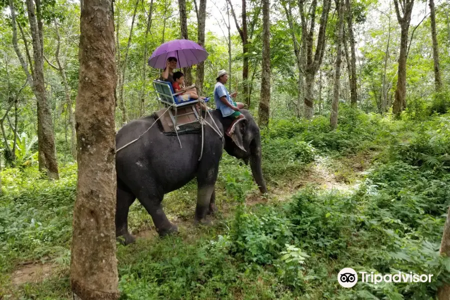 Amazing Bukit Safari