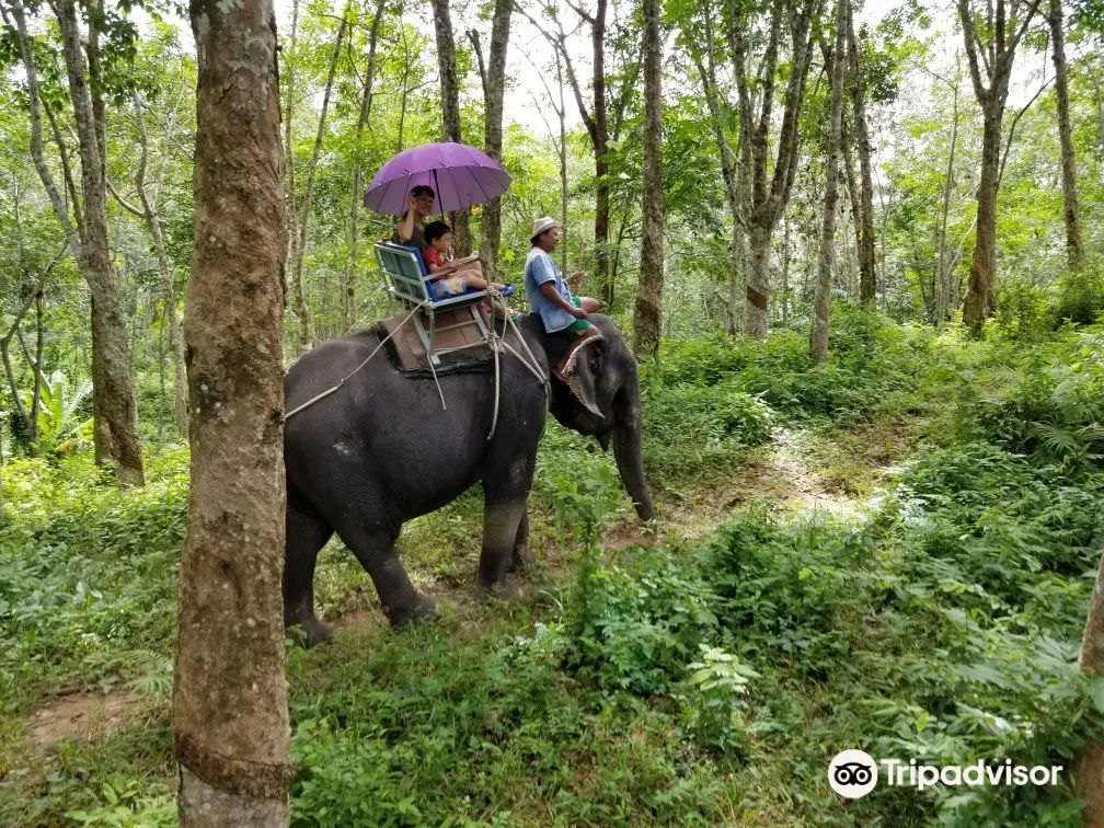 2_Amazing Bukit Safari