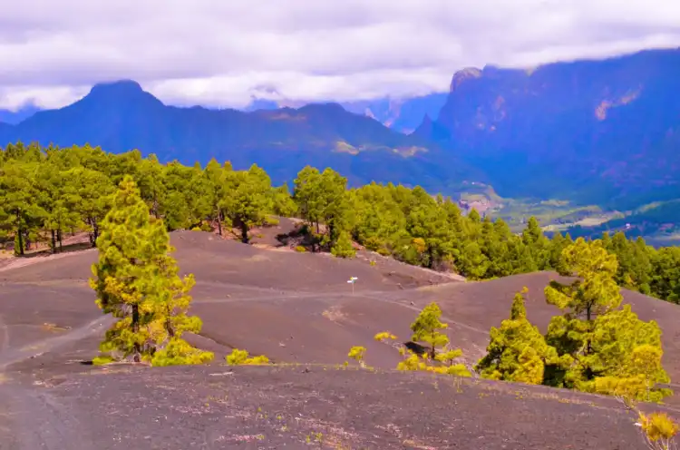 Hotels in Fuencaliente de la Palma