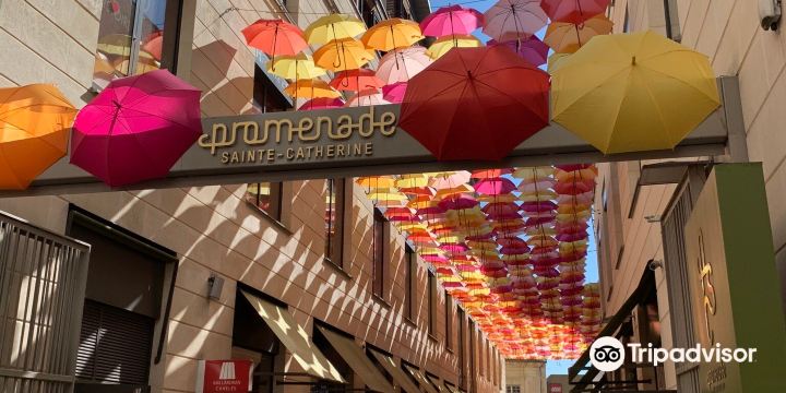 Rue Sainte-Catherine