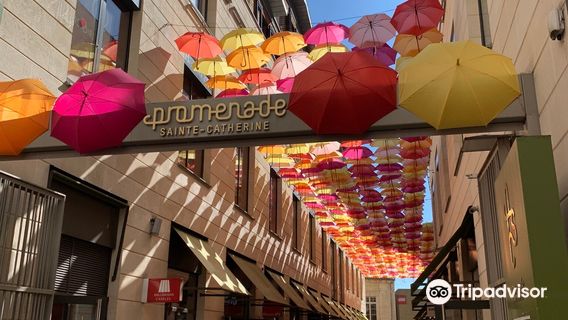 Rue Sainte-Catherine