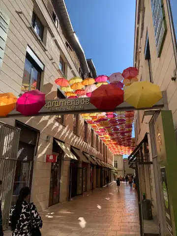 鄰近聖·凱瑟琳大街的酒店