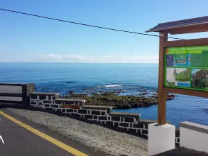 Trilho da Fonte Santa - Praia da Viola