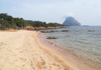 Spiaggia di Punta Don Diego