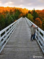 Celtic Shores Coastal Trail