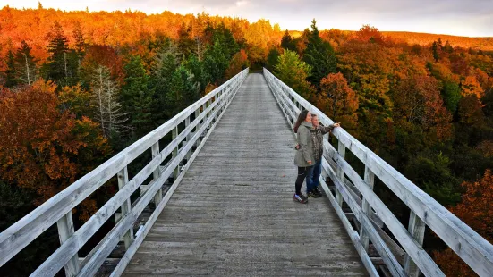 Celtic Shores Coastal Trail