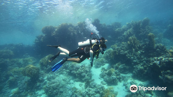 Coraya Divers Coraya Bay