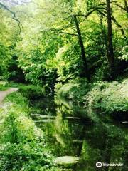 Cromford Canal