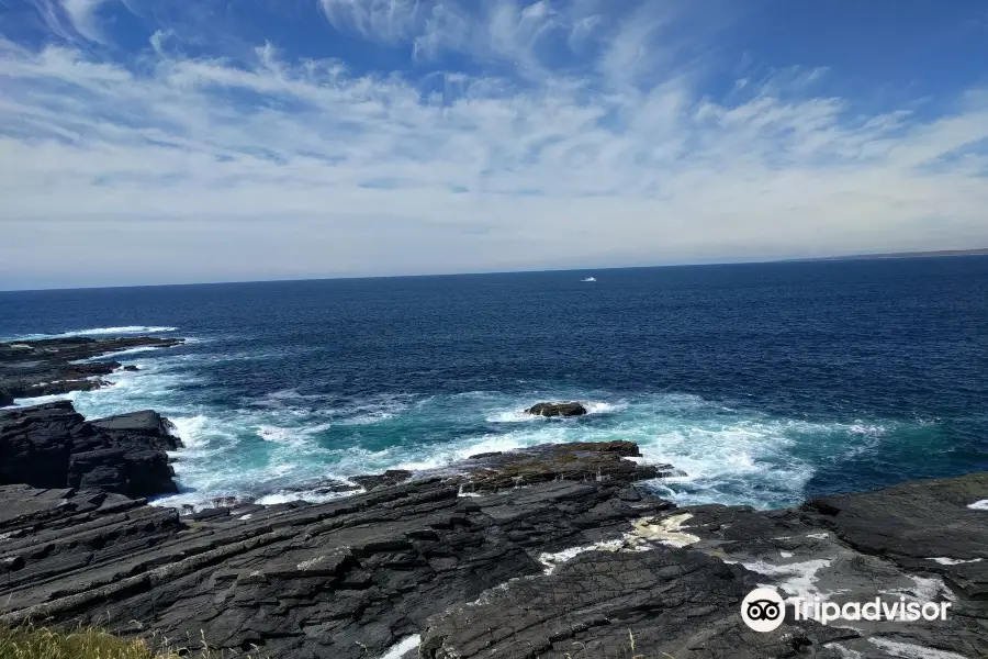 Clare Coastal Walk Project