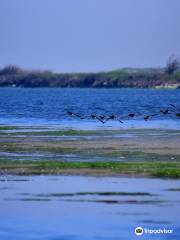 Salinas River National Wildlife Refuge