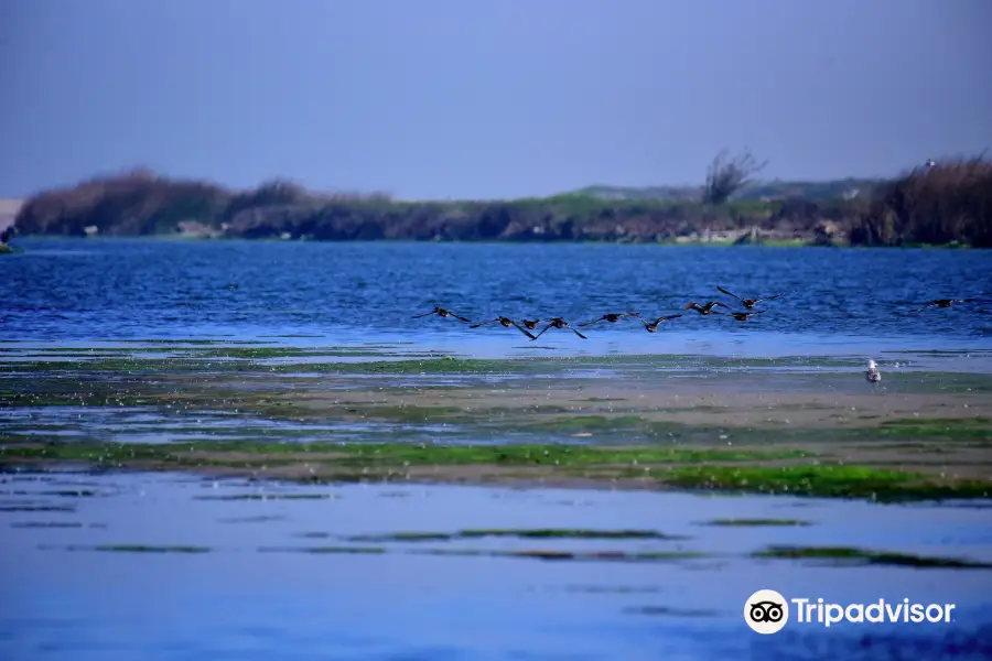 Salinas River National Wildlife Refuge