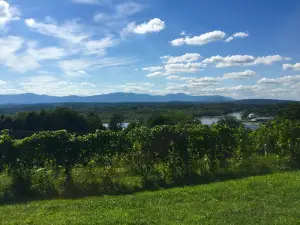 Tousey Winery