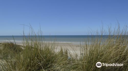 Dune du Perroquet