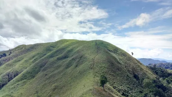 Bukit Bongol