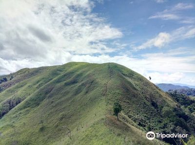 Bukit Bongol