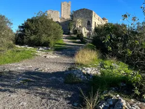 Castle of Tornac