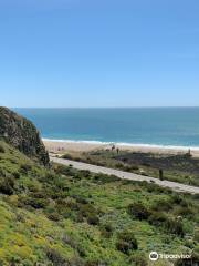 Point Mugu State Park