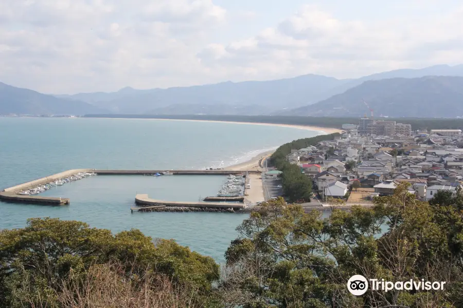 Niji No Matsubara Pine Grove