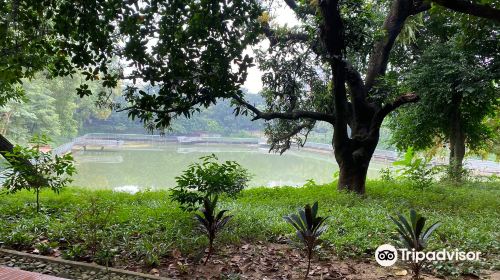 Gulshan Lake Park