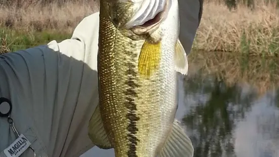 Moby Dick's - Private Pond Fishing