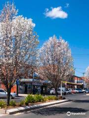 Coonabarabran Visitors Centre