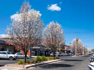 Coonabarabran Visitor Information Centre