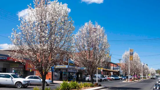 Coonabarabran Visitors Centre