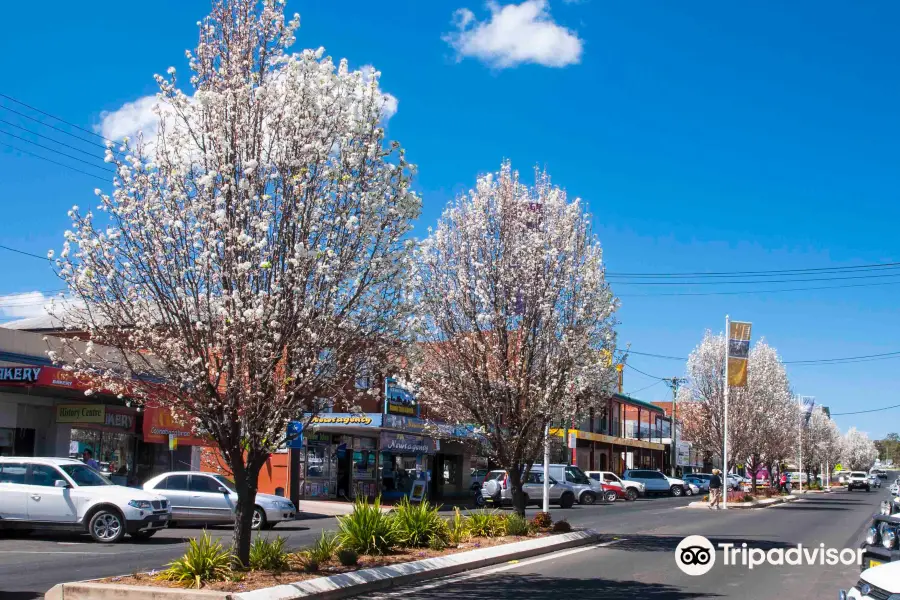 Coonabarabran Visitors Centre