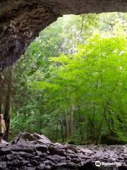 Bruce's Caves Conservation Area
