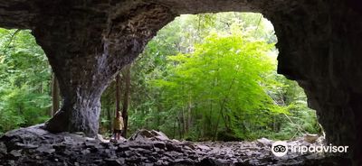 Bruce's Caves Conservation Area