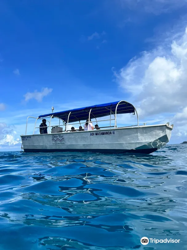 3_PURPLE TURTLE DIVE FIJI (Formerly Deep Blue Diving)