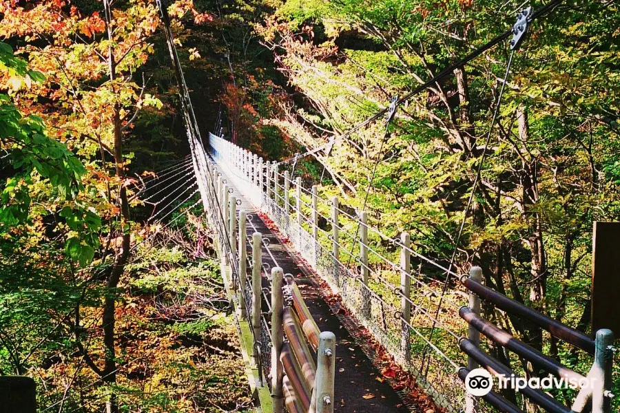 Daisen Fall Suspension Bridge