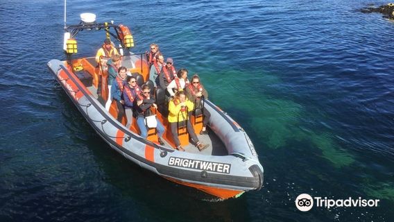 Eyemouth Rib Trips