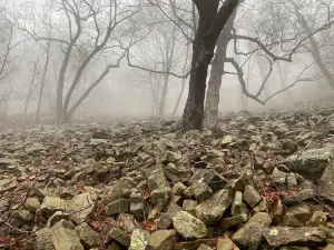 Hawk Rock Overlook