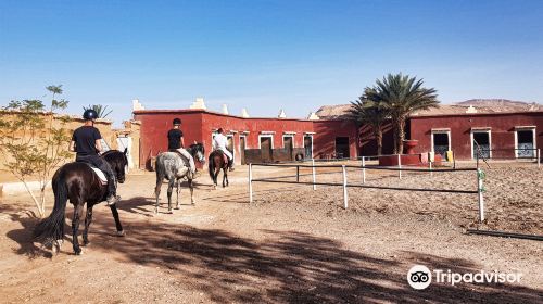 Nomad Horse Riding