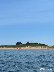 Provincetown Seal Tours