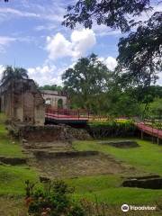 Caguas Botanical Garden "William Miranda Marin"