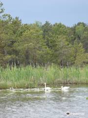 Directorate of Poleski National Park