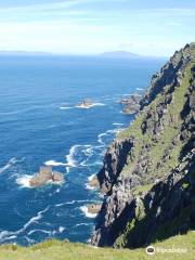 Bray Head