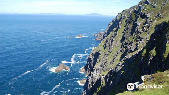 Bray Head
