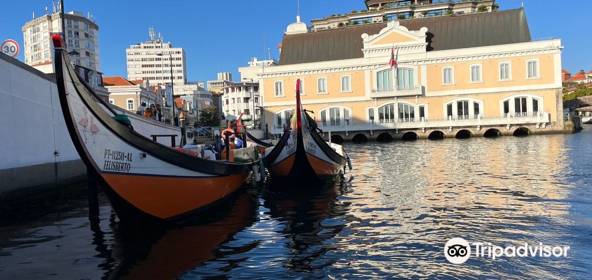 Things to Do in Esgueira in 2025 Top Attractions, Local Food, Hotels