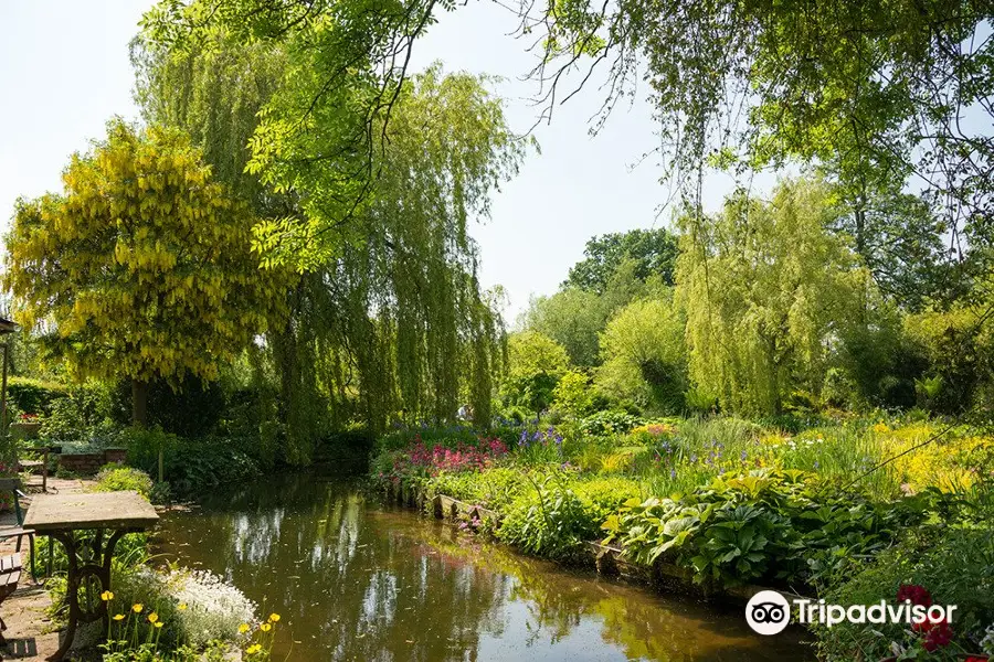 Westonbury Mill Water Gardens