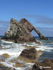 Bow Fiddle Rock