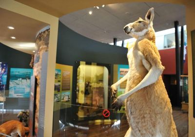 Museum of Geraldton